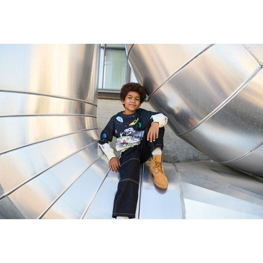 Jersey Espacial Dinosaurio – MOLO