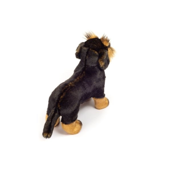 🐾 Dachshund Pelo Duro de Pie – 28 cm | Hermann Teddy