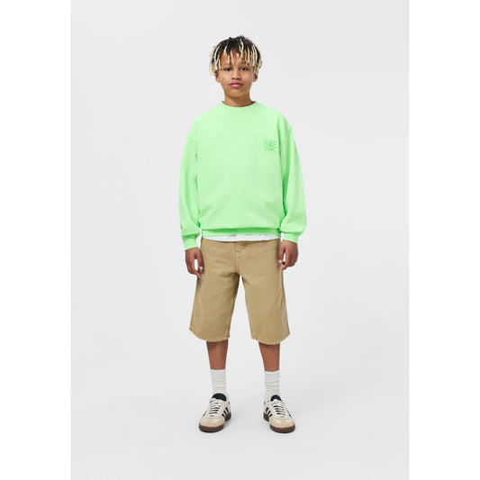 Sudadera Magni “Gecko pálido” – MOLO