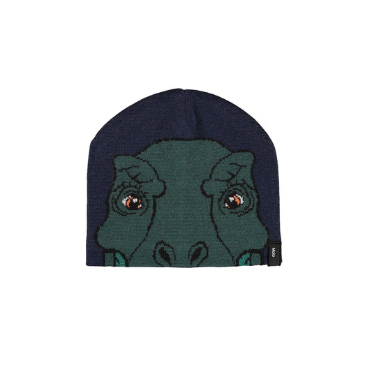 Set Gorro y Braga Dinosaur – Molo