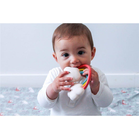 Mordedor Arco Iris – Lanco