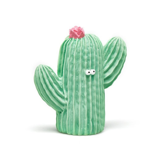 Mordedor Cactus Frijolito – Lanco