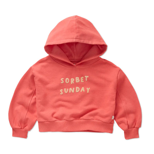 Sudadera Corta con Capucha – Rosa Suave | Sproet & Sprout