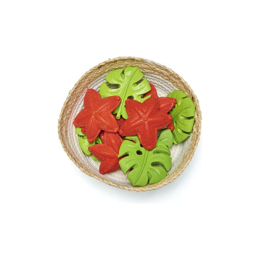 Mordedor Estrella de Mar – Lanco