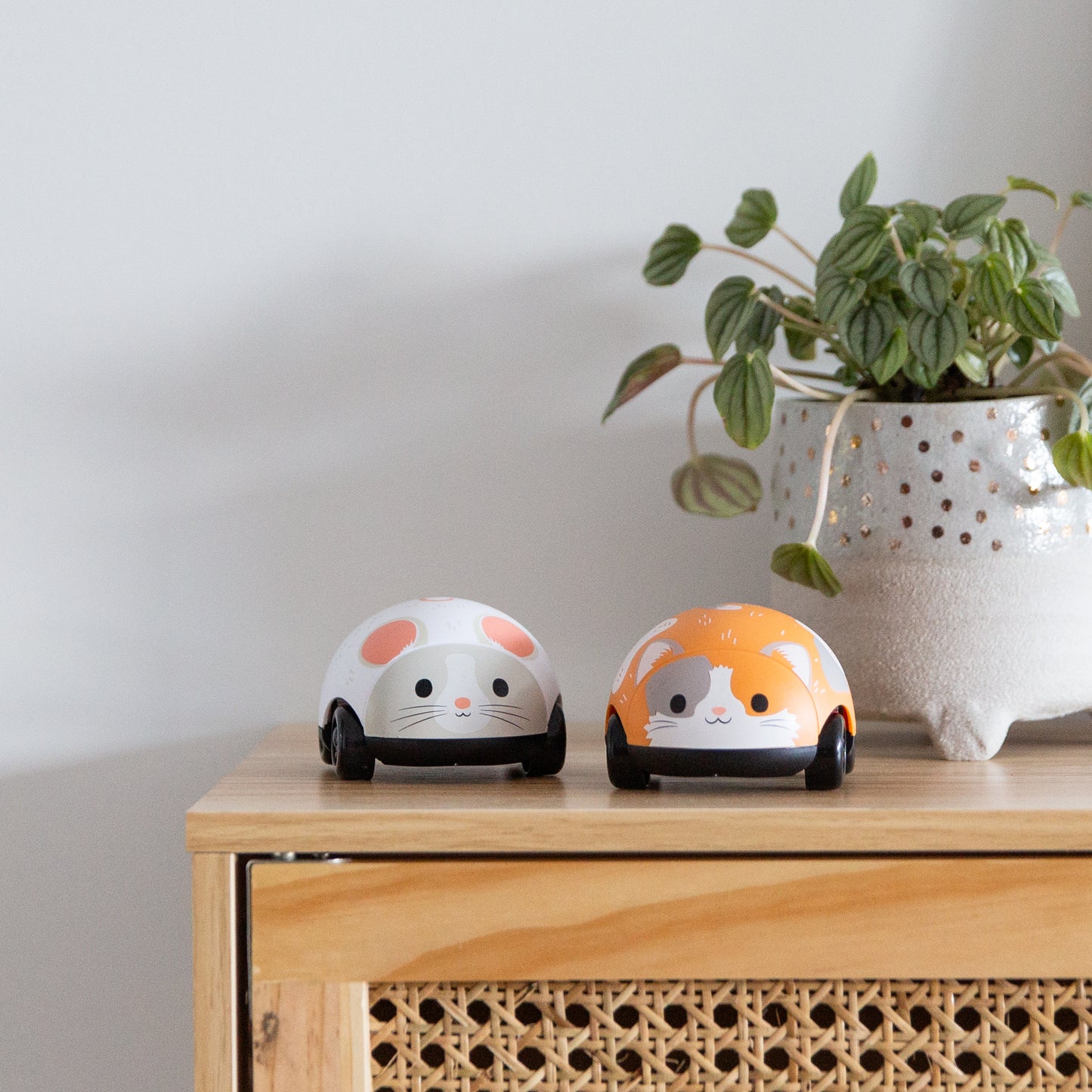 Pull-Backs Gato y Ratón – Tiger Tribe