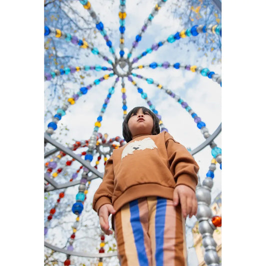 Sudadera Perro Bigotudo – Mocca | Sproet & Sprout