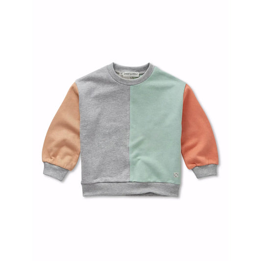 Sudadera Colourblock – Sproet & Sprout