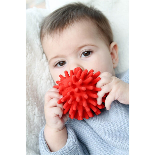 Mordedor Sensorial Erizo JAG – Lanco