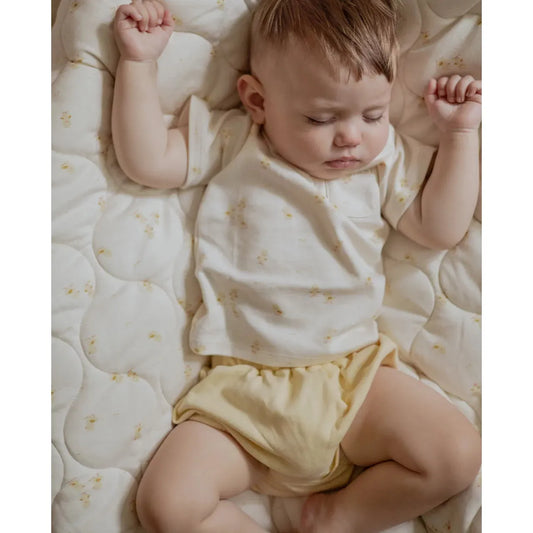 North Baby – Bombacho Orgánico