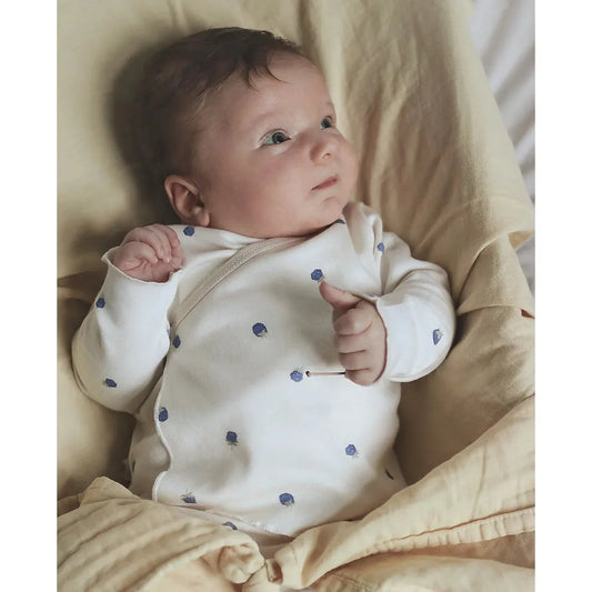 Conjunto Orgánico “Blueberries” North Baby