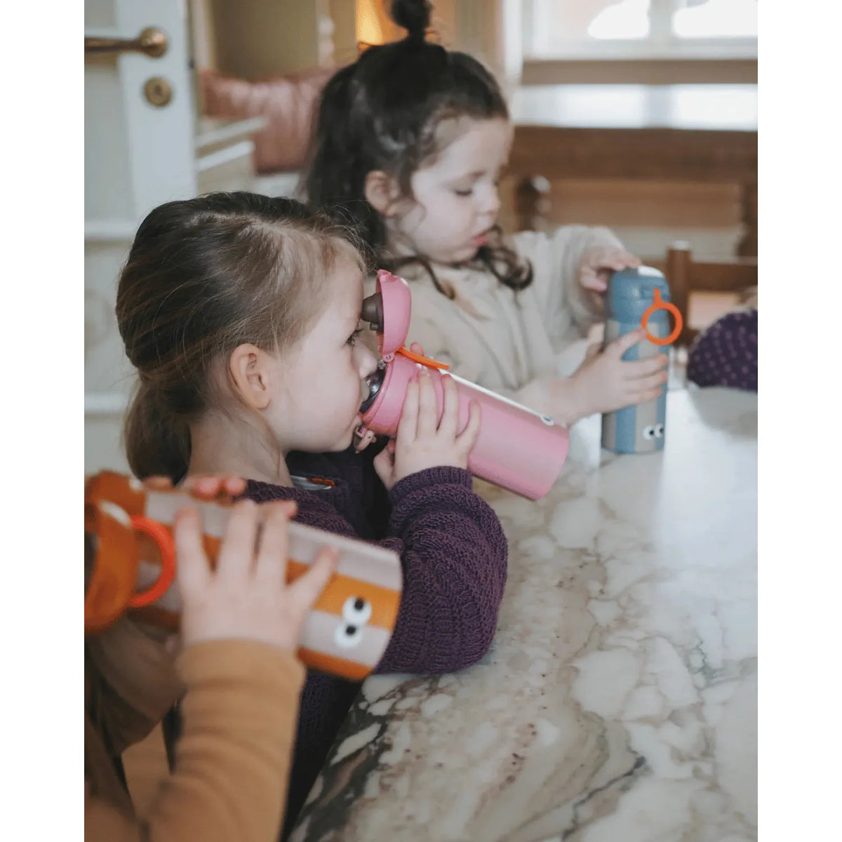 Botella Infantil de Acero Inoxidable – Dinosaurio | Noui Noui