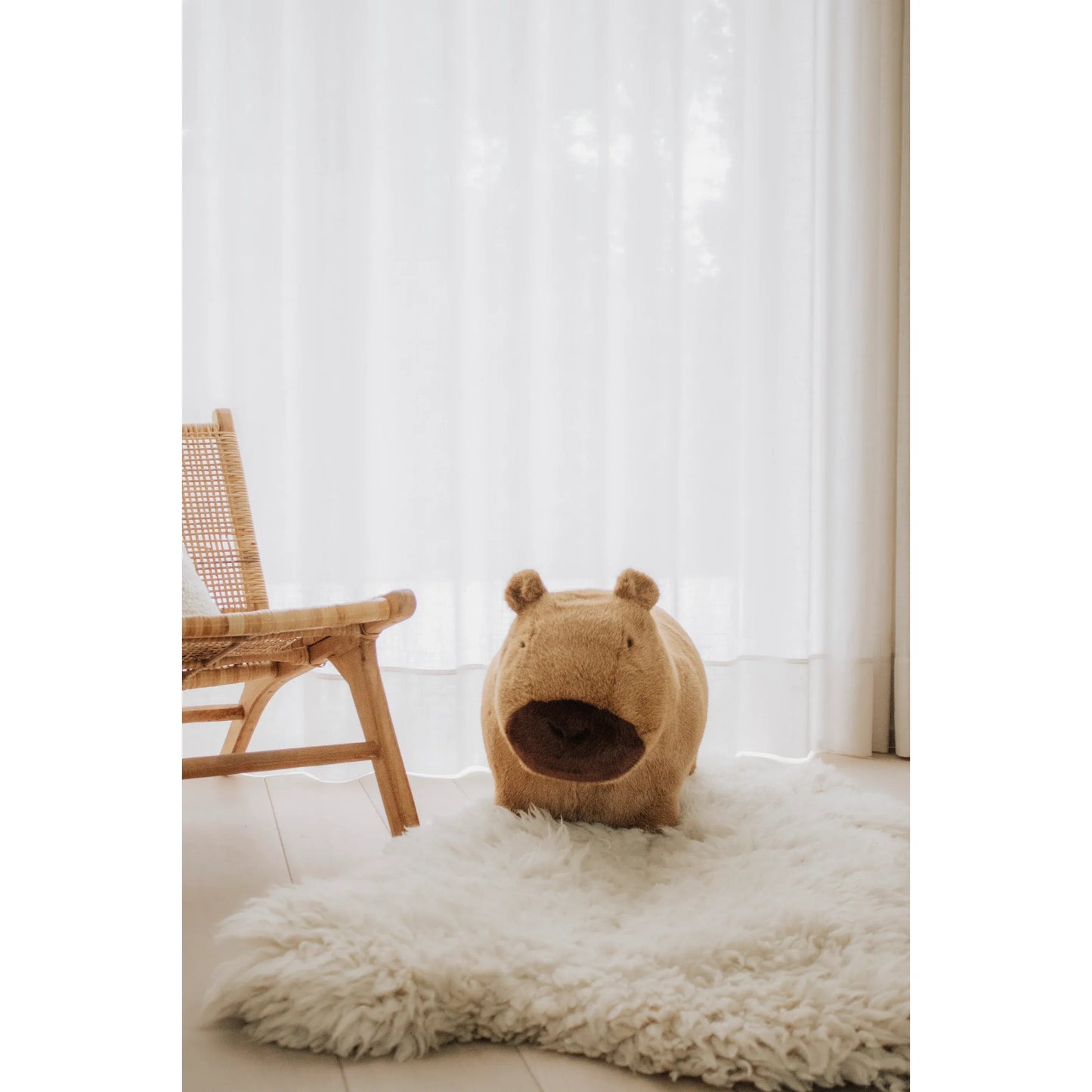 Saltador Capibara – Wild & Soft