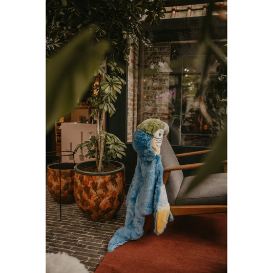 Disfraz Capa “Loro” – Wild & Soft