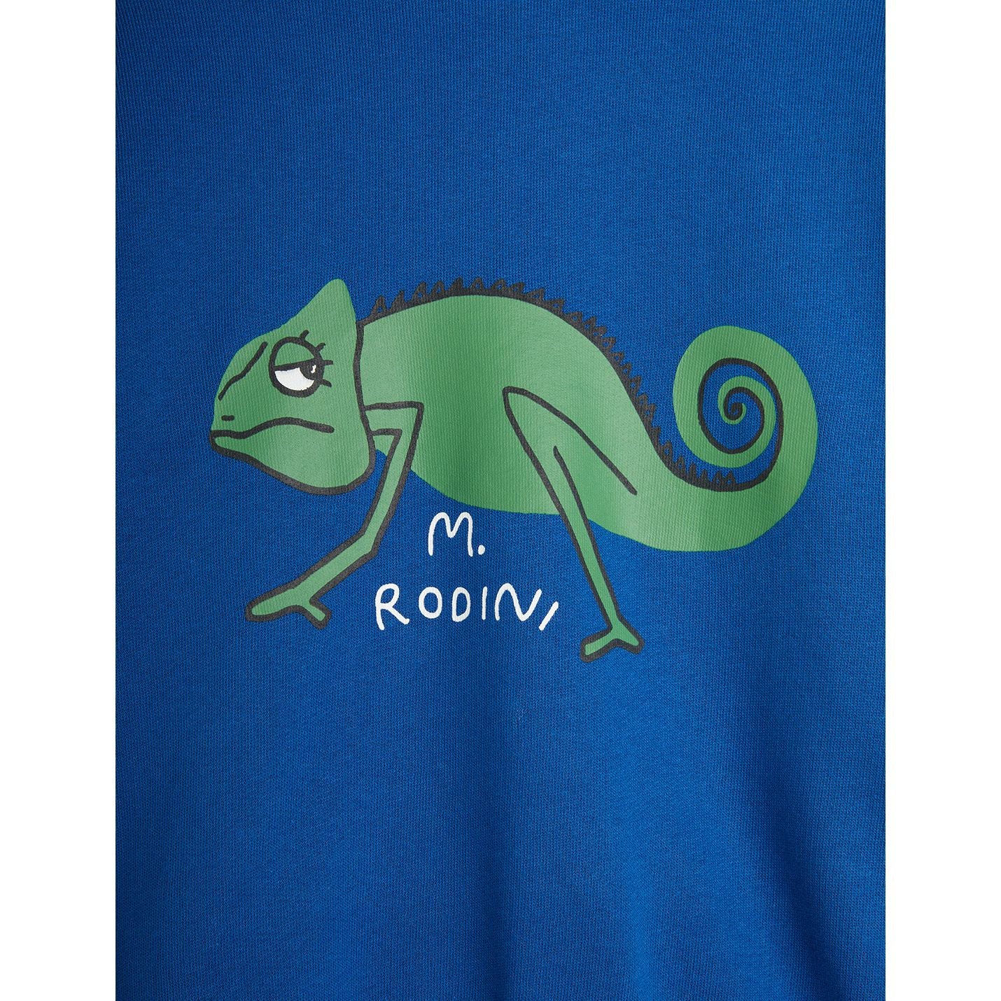 Sudadera con Estampado de Camaleón – Azul | Mini Rodini