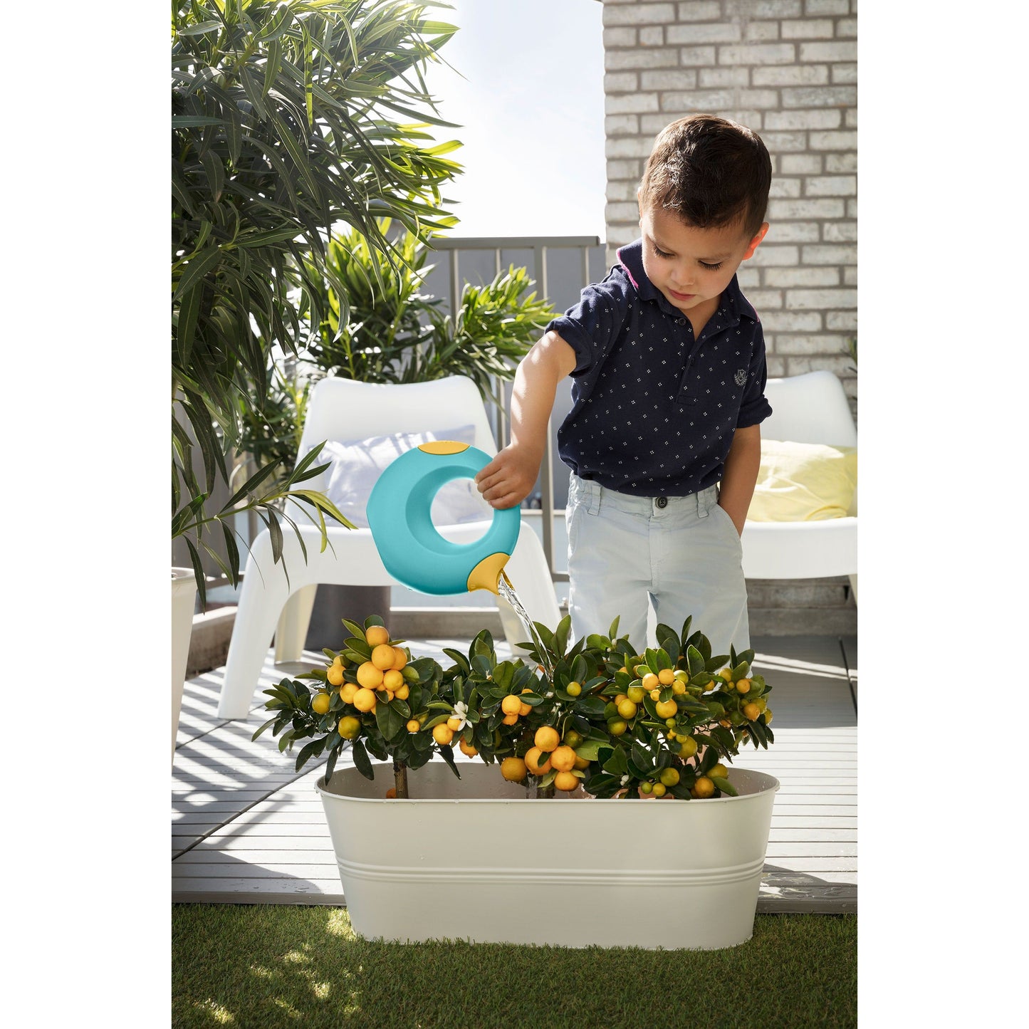 Regadera Cana S Banana Blue | Quut