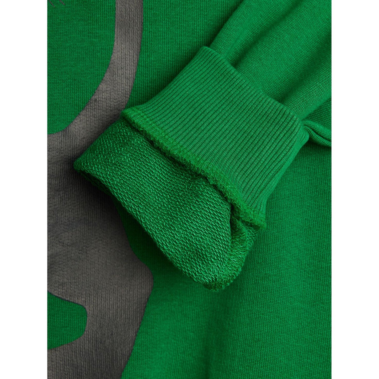 Sudadera Pantera Verde | Mini Rodini