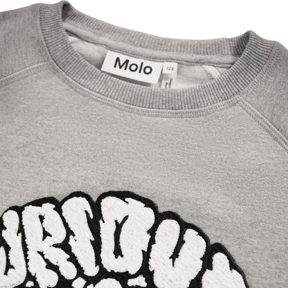 Sudadera “Curious Minds” – Molo