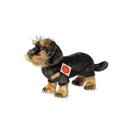 🐾 Dachshund Pelo Duro de Pie – 28 cm | Hermann Teddy