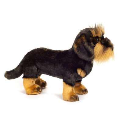 🐾 Dachshund Pelo Duro de Pie – 28 cm | Hermann Teddy