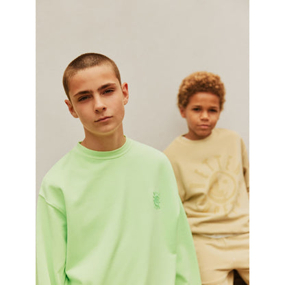 Sudadera Magni “Gecko pálido” – MOLO