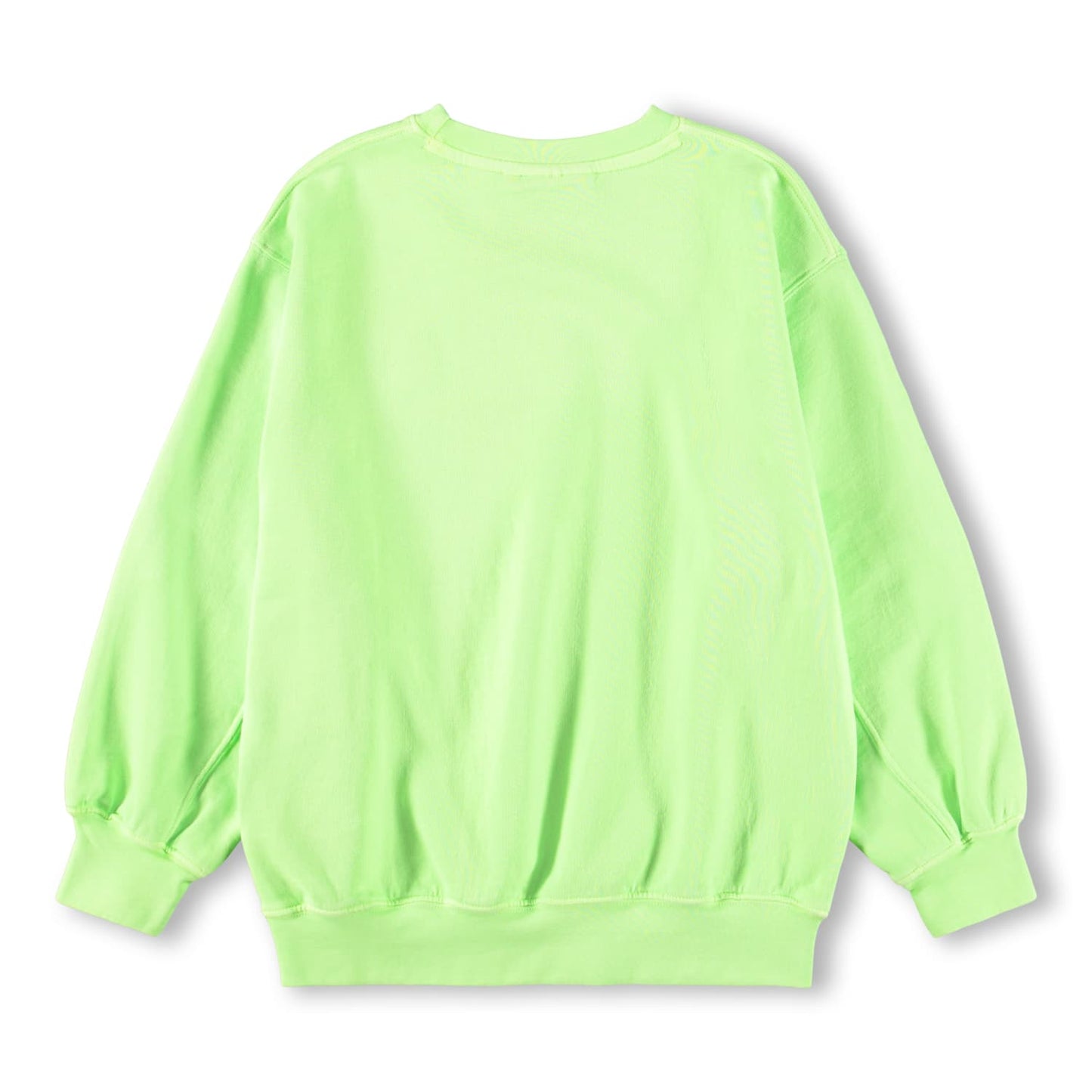 Sudadera Magni “Gecko pálido” – MOLO