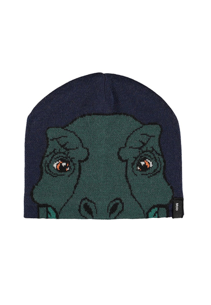 Set Gorro y Braga Dinosaur – Molo