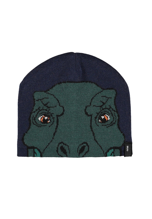 Set Gorro y Braga Dinosaur – Molo