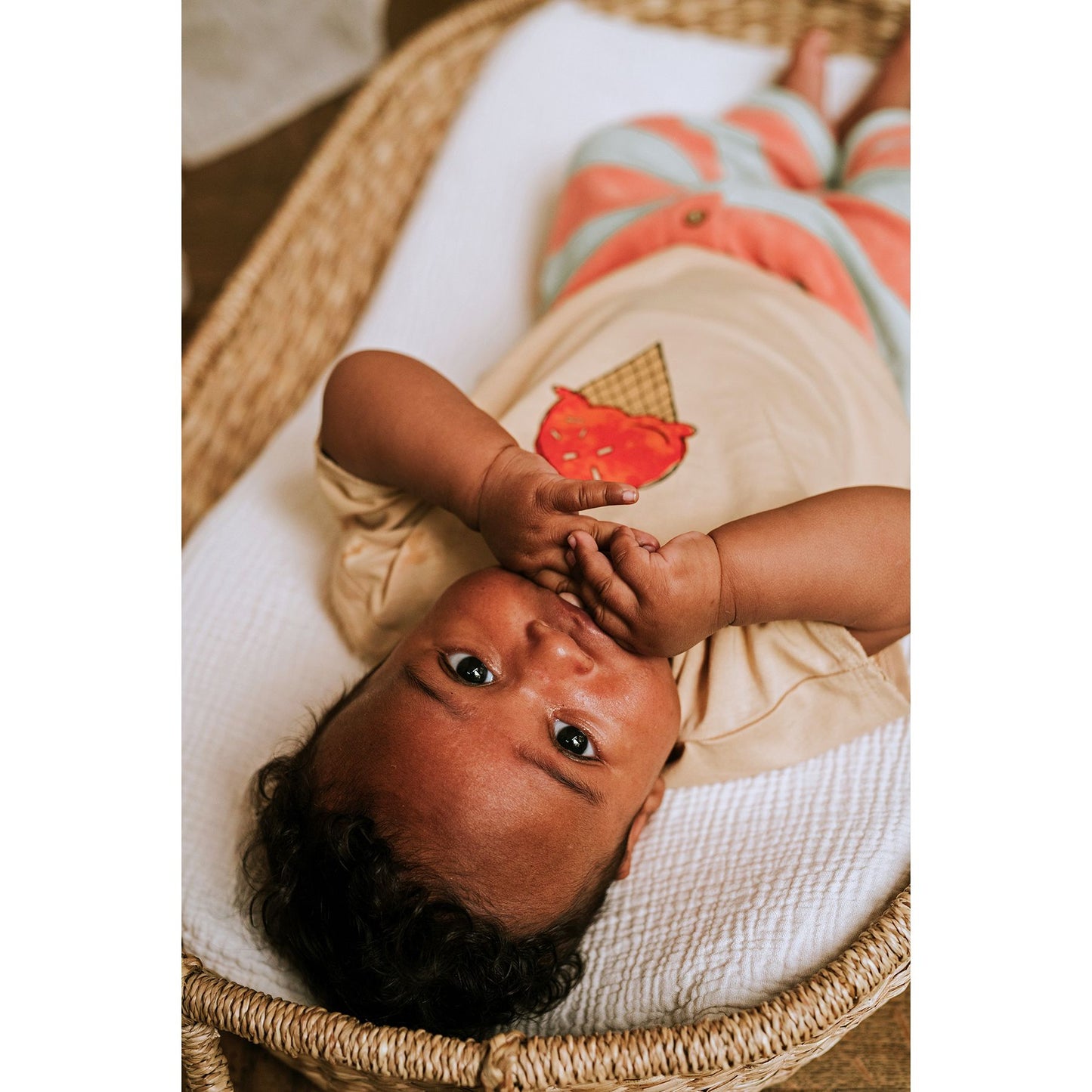 Camiseta bebe Ice Cream - Sproet & Sprout