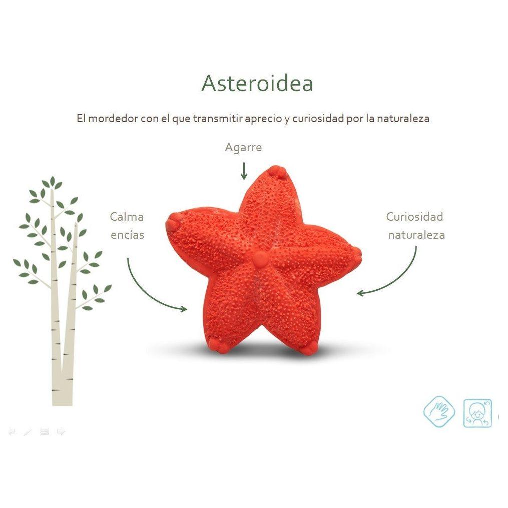 Mordedor Estrella de Mar – Lanco