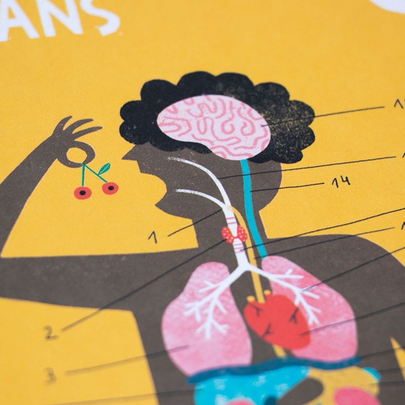 Juego Educativo Inside Me – Descubre el Cuerpo Humano - Londji