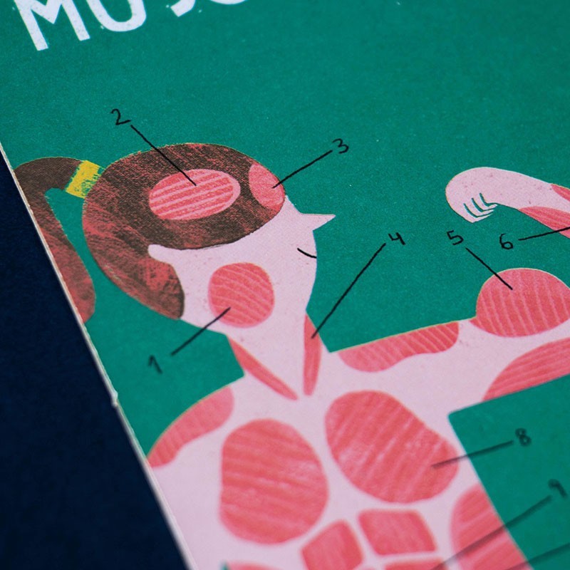 Juego Educativo Inside Me – Descubre el Cuerpo Humano - Londji