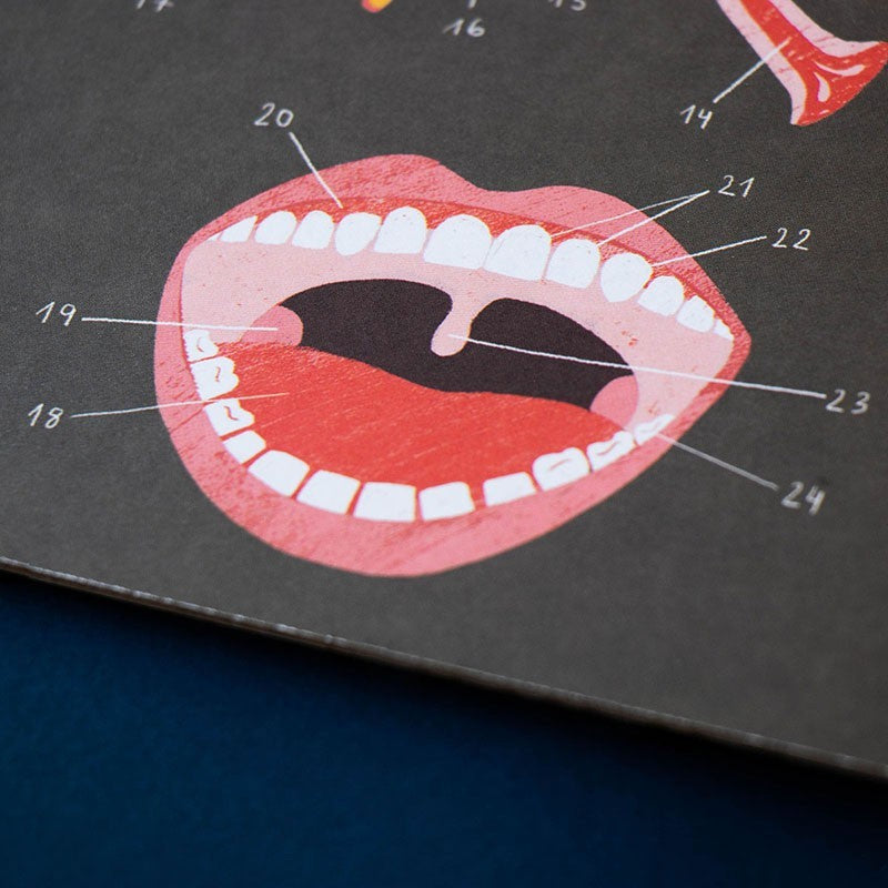 Juego Educativo Inside Me – Descubre el Cuerpo Humano - Londji