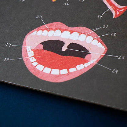 Juego Educativo Inside Me – Descubre el Cuerpo Humano - Londji
