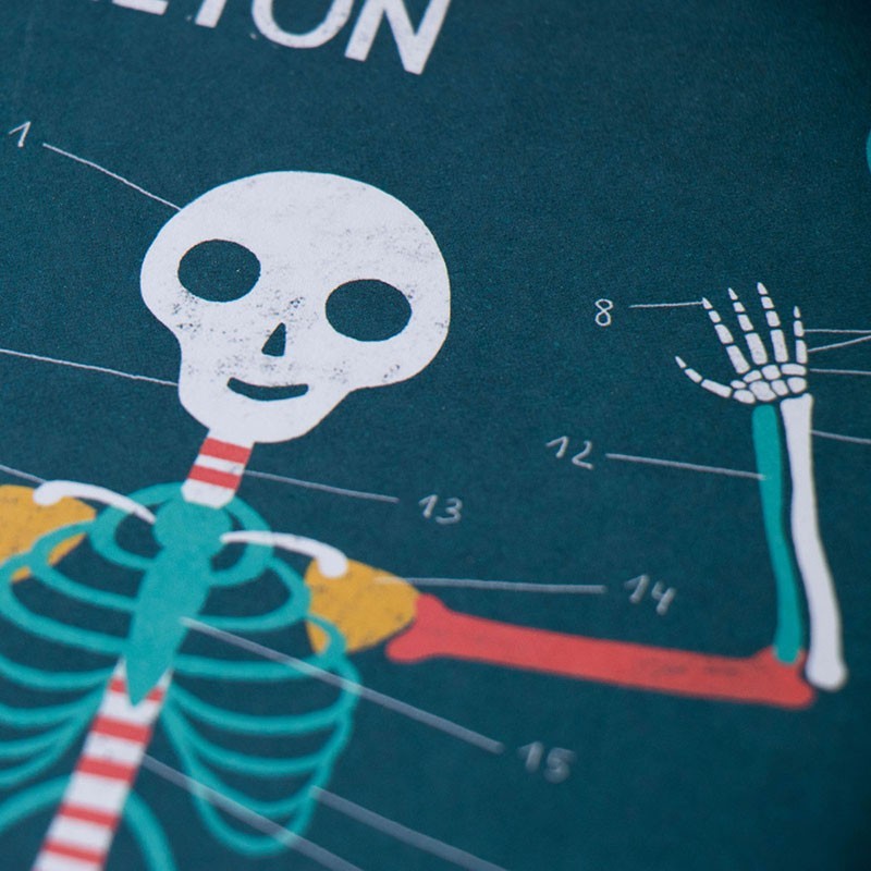 Juego Educativo Inside Me – Descubre el Cuerpo Humano - Londji