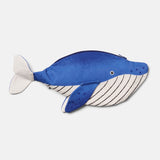 Estuche Minke Whale – Don Fisher