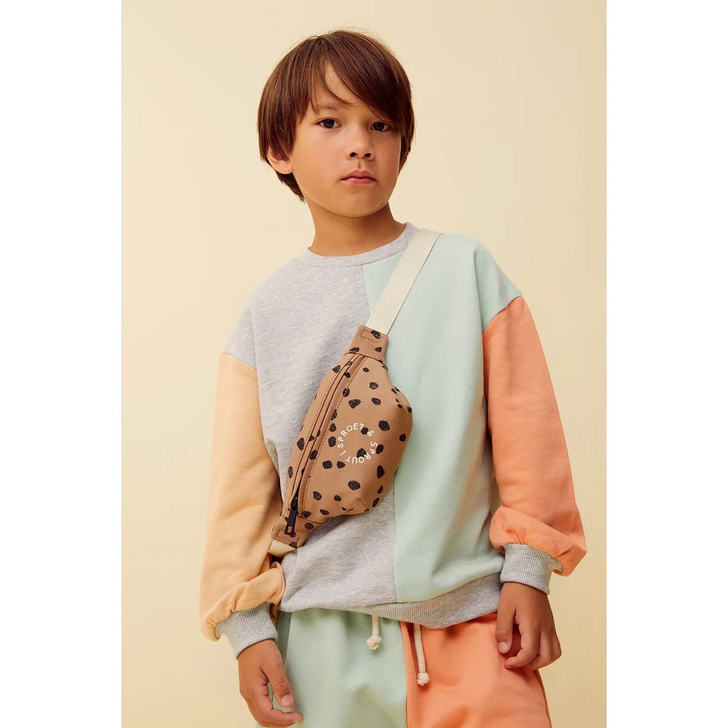 Sudadera Colourblock – Sproet & Sprout