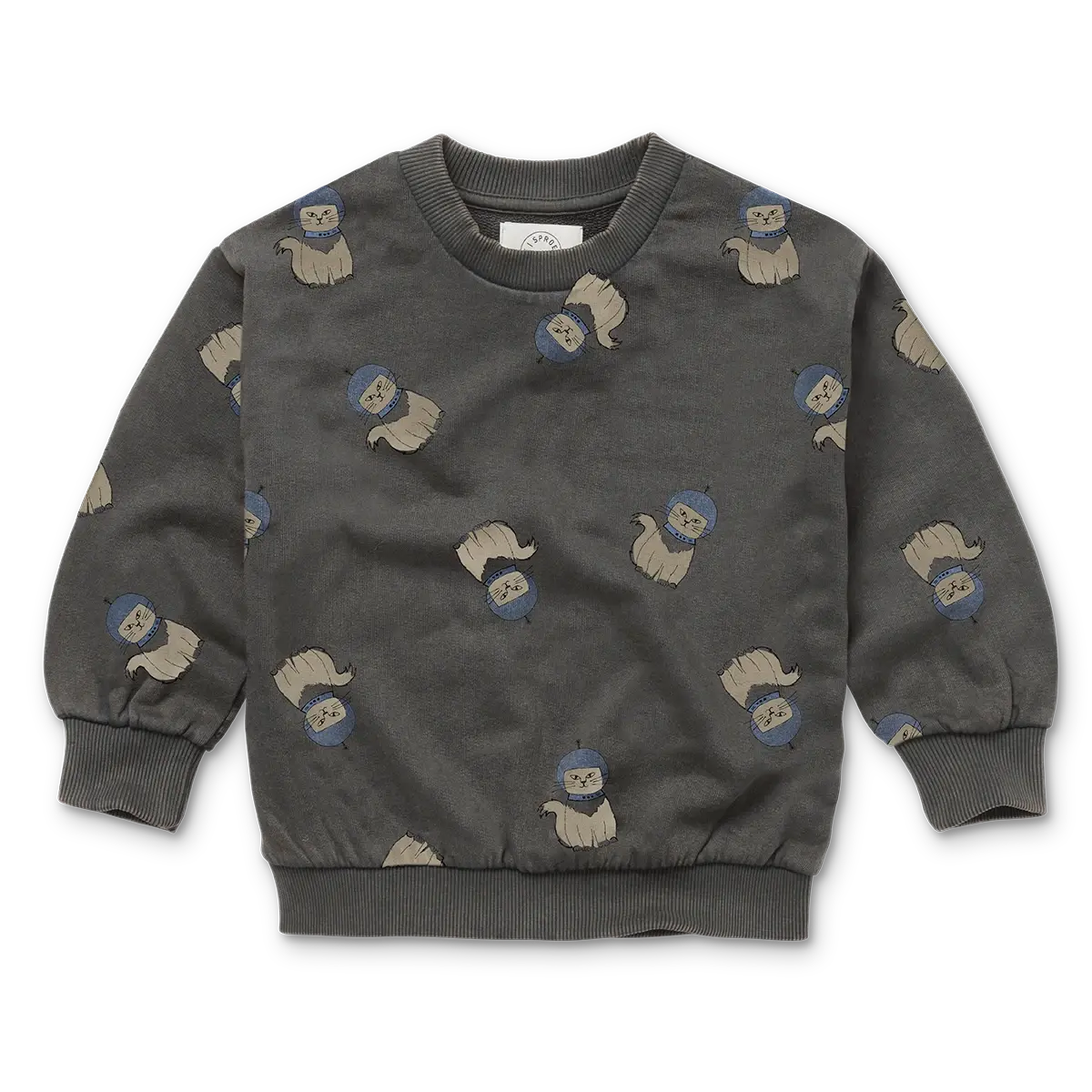 Sudadera Space Cat Print – Negro Lavado | Sproet & Sprout