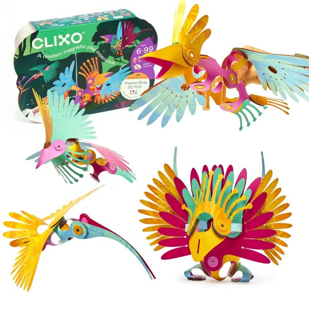 Tropical Birds Pack 22 piezas · Clixo