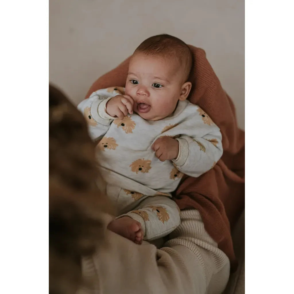 Sudadera Bebé – Dog Print Light Grey Melee | Sproet & Sprout