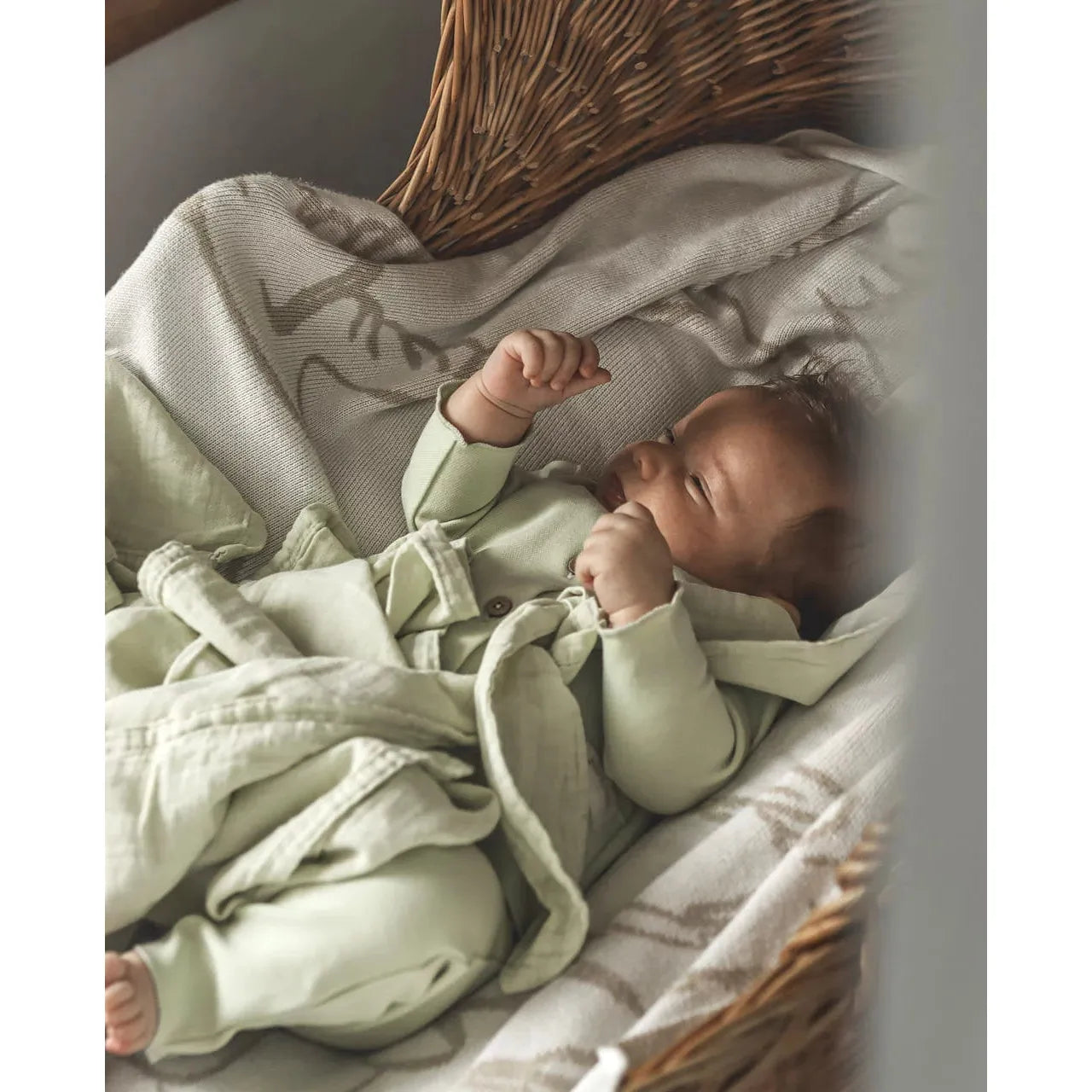 Muselina Orgánica  – North Baby
