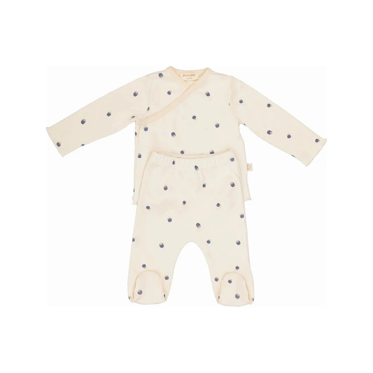 Conjunto Orgánico “Blueberries” North Baby