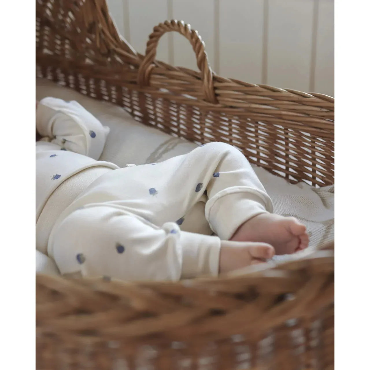 Jogger Orgánico “Blueberries” North Baby