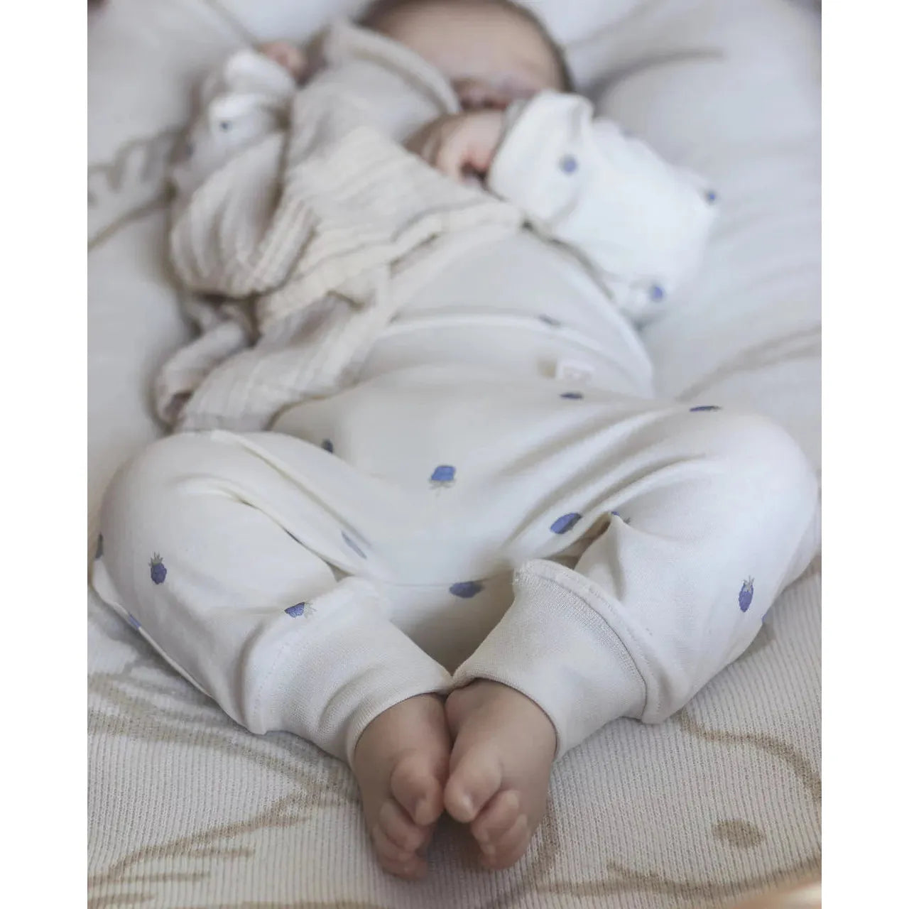 Jogger Orgánico “Blueberries” North Baby