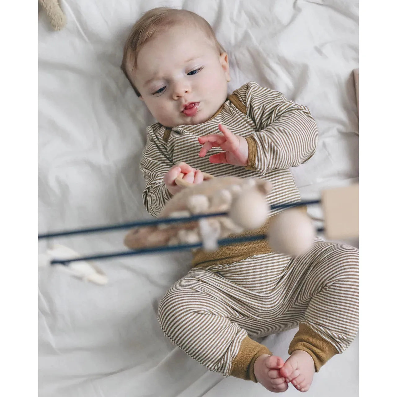 Jogger Orgánico “Toffee Stripes” North Baby