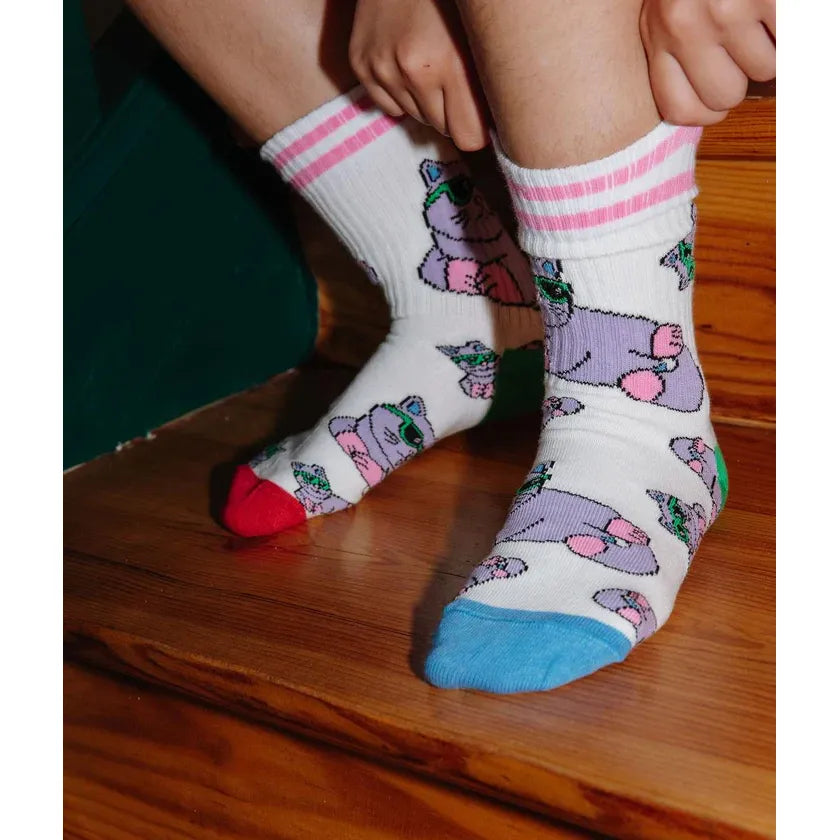 Pack Calcetines Gatos – Hello Hossy