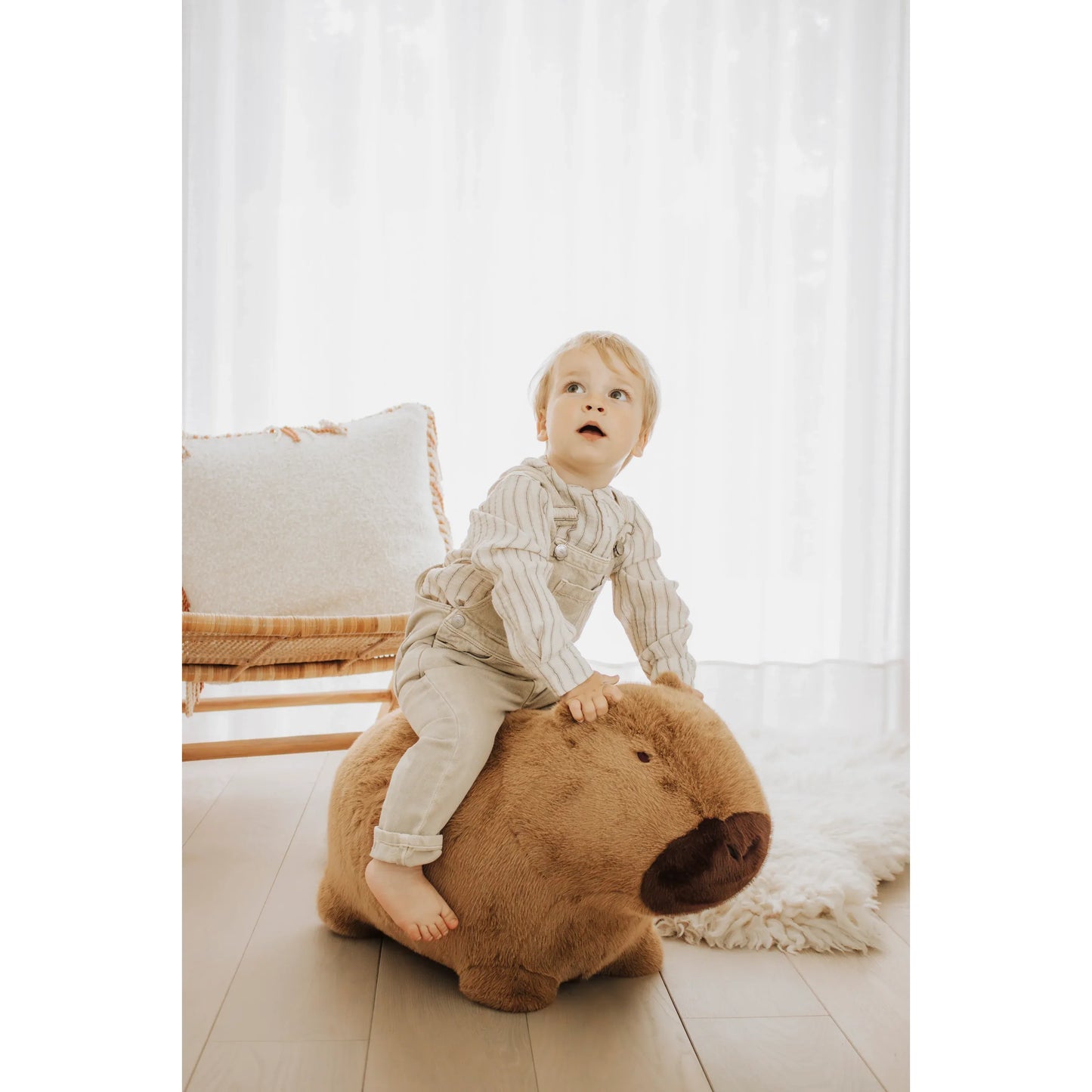 Saltador Capibara – Wild & Soft